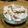 グルタ民's cooksnap of when they made 大豆とツナのディップ.