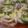 にゃぁくん's cooksnap of when they made ＊なんちゃってイカの箱船＊.