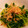 Pleasure19's cooksnap of when they made 簡単*白だしde三つ葉と茸のおひたし*.