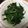 そうたん♡こうたん's cooksnap of when they made 簡単！ほうれん草ソテー☆.