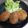 みーはーママ☆'s cooksnap of when they made 春キャベツで絶品♪ジューシーメンチカツ.