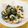 ののっく's cooksnap of when they made 簡単☆わかめサラダ.