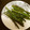 ☆こまっと☆'s cooksnap of when they made ★簡単！いんげんの素揚げ★.