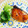 はっぴぃchan's cooksnap of when they made 定番☆ぶりの照り焼き.