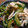 ivy440's cooksnap of when they made ゴーヤと鶏ササミの梅和え.
