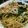 クックDQLW2X☆'s cooksnap of when they made なめ茸で！蓮根と法蓮草の和風ツナパスタ.
