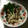 けーぼう's cooksnap of when they made にらとしめじのおひたし.