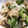 クックI033EX☆'s cooksnap of when they made 白きくらげの簡単あえもの☆柚子胡椒風味.