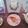 Dream♪'s cooksnap of when they made 薄焼きピザ.
