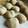 ふわっとふわりん's cooksnap of when they made ふわふわもちもち☆りんごヨーグルトの全粒粉パン.