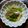 ＊たます＊'s cooksnap of when they made 簡単！しめさばでぬた〜酢みそあえ〜.