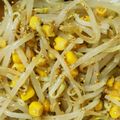 クックLWTF8L☆'s cooksnap of when they made 超簡単！もやしのナムル(^^).