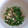 adk's cooksnap of when they made うまぁ～♬♫菜の花とホタルイカのマヨ和え.