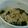 クックQ9GI2H☆'s cooksnap of when they made わかめと干しエビの炊き込みご飯.