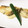 きぬ♡'s cooksnap of when they made 白身魚の☆ムニエル☆マヨじょうゆ.