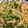 クックQ3TZ86☆'s cooksnap of when they made えのきとかいわれのさっぱりごま和え.