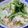 minarin's cooksnap of when they made ☆かに風味かまぼこ☆ワサビマヨサラダ♪.