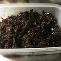 イシス女神's cooksnap of when they made 【手作りご飯のお供】おかかと昆布の佃煮.