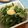 ｙａ－ｙａ－'s cooksnap of when they made 水菜とニラのツナ卵炒め.
