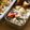 ガメコ's cooksnap of when they made 苦味を抑えた☆ゴーヤーチャンプルー♪.