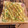 りんママ。's cooksnap of when they made 葱の青い部分と桜えびのトースト.