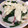 pen313's cooksnap of when they made 赤大根とほうれん草のサラダ　クリスマス風.