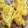 たぬぴぃ★'s cooksnap of when they made ソーセージとじゃがいものかきあげ.