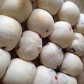 農家の花ちゃん's cooksnap of when they made ドライフルーツとクリチの白いちぎりパン。.