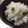 ma●co's cooksnap of when they made ＊とっても簡単！豆ご飯＊.