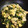 クックP9XMDL☆'s cooksnap of when they made 和風の味♪豚肉とネギと卵の炒め物★.