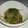 natsu_i's cooksnap of when they made 簡単もやし＆豆苗ナムル.