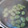 かす”お's cooksnap of when they made 塩ゆで　ソラマメ.