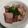 クックACN5T0☆'s cooksnap of when they made 菜の花とベーコンの炒めもの.