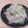 きらり流れ星's cooksnap of when they made 簡単！☆ゴマ香る糸コンニャク☆.