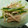 クック6NF25J☆'s cooksnap of when they made もやしときゅうりの辛子ごま酢あえ♪.