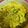 クック33CSTO☆'s cooksnap of when they made 絶品‼やみつき‼我が家のカボチャサラダ！.