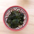 お料理修行中！'s cooksnap of when they made パパッと和えて＊本格韓国風ワカメのナムル.