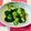 マーシ☆'s cooksnap of when they made ばか旨っ！きゅうり.