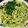 まろぴき☆'s cooksnap of when they made ほうれん草のジェノベーゼパスタ.
