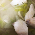 ゆきマリ's cooksnap of when they made 鱈と独活の中華風スープ.