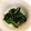 9tomo's cooksnap of when they made ほうれん草の塩昆布和え.