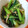 クック9NG3BD☆'s cooksnap of when they made 小松菜とキノコのおひたし.
