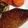 お天気マーク's cooksnap of when they made 聖護院大根のステーキ.