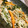 ひばさん's cooksnap of when they made 簡単！もやしオイスター炒め.