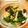 ちゃこ0320's cooksnap of when they made 菜の花ふわふわたまご炒め.