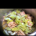 はーむちゃん's cooksnap of when they made あら簡単♪白菜と鮭缶の煮びたし.