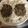 ぴっぴ2's cooksnap of when they made 【離乳食】鉄分たっぷり♪納豆のおやき.