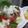 紅葉ｙ's cooksnap of when they made イタリアンな冷奴☆.
