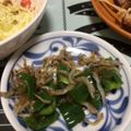 アピナス's cooksnap of when they made ピーマン とちりめんじゃこのおかか炒め.