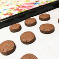 ☆hoppy☆'s cooksnap of when they made 卵なし！サラダ油でほろほろココアクッキー.